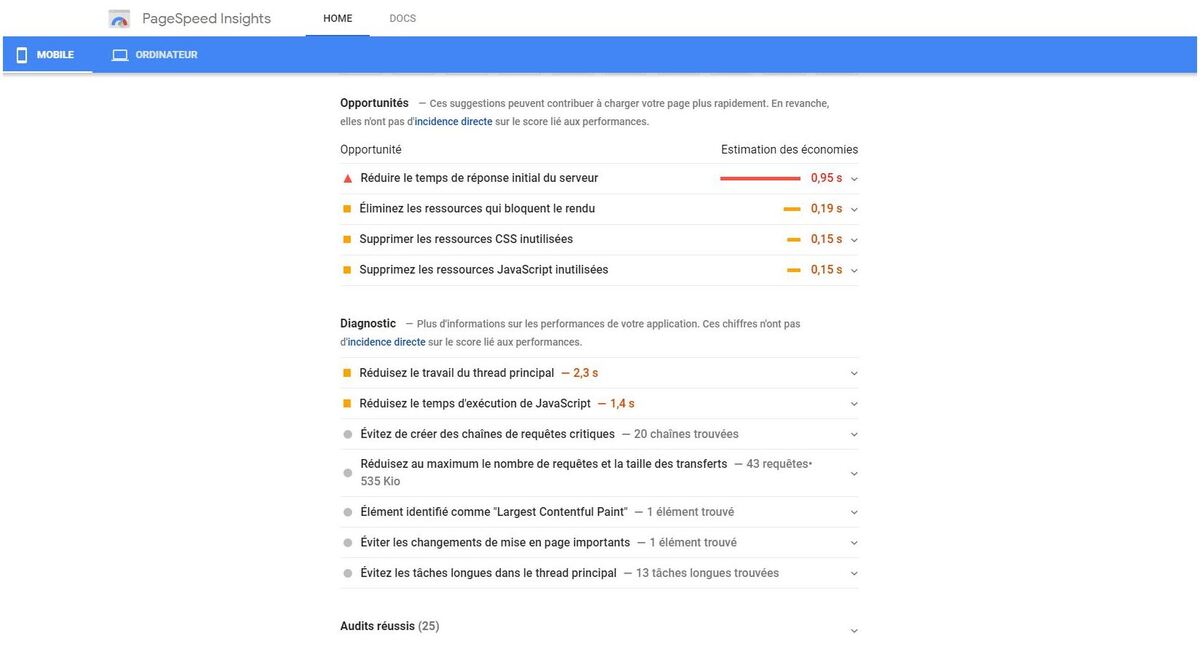 audit pagespeed insights